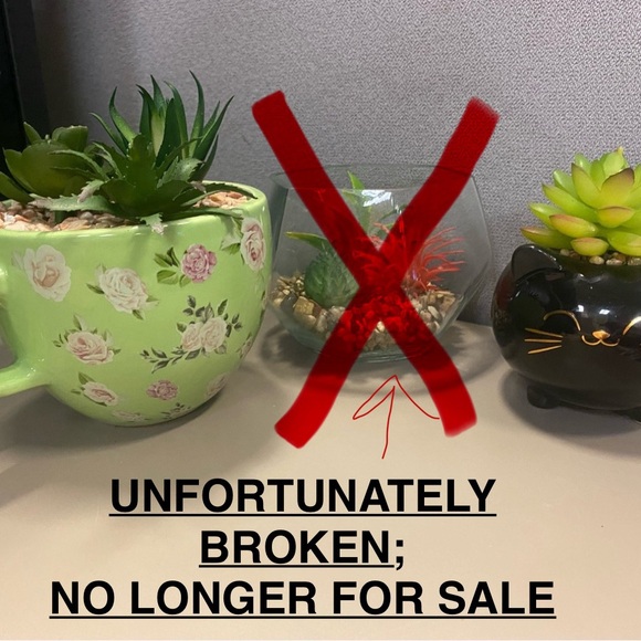 Faux Succulents Within Cute Plant Holders - Picture 6 of 6